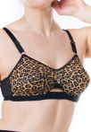 RL029-leopard