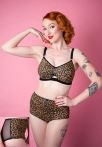 RL063-leopard